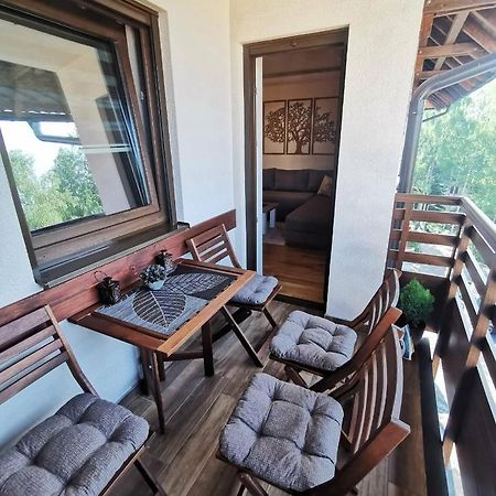 Apartman Stefanovic Vila Darija Lux ズラティボール エクステリア 写真