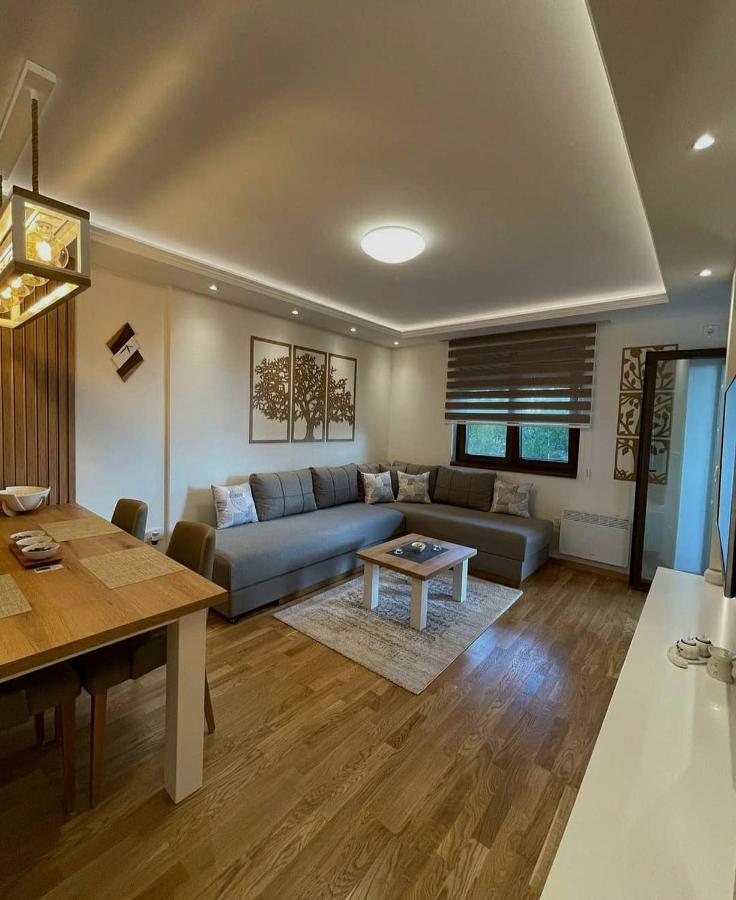 Apartman Stefanovic Vila Darija Lux ズラティボール エクステリア 写真