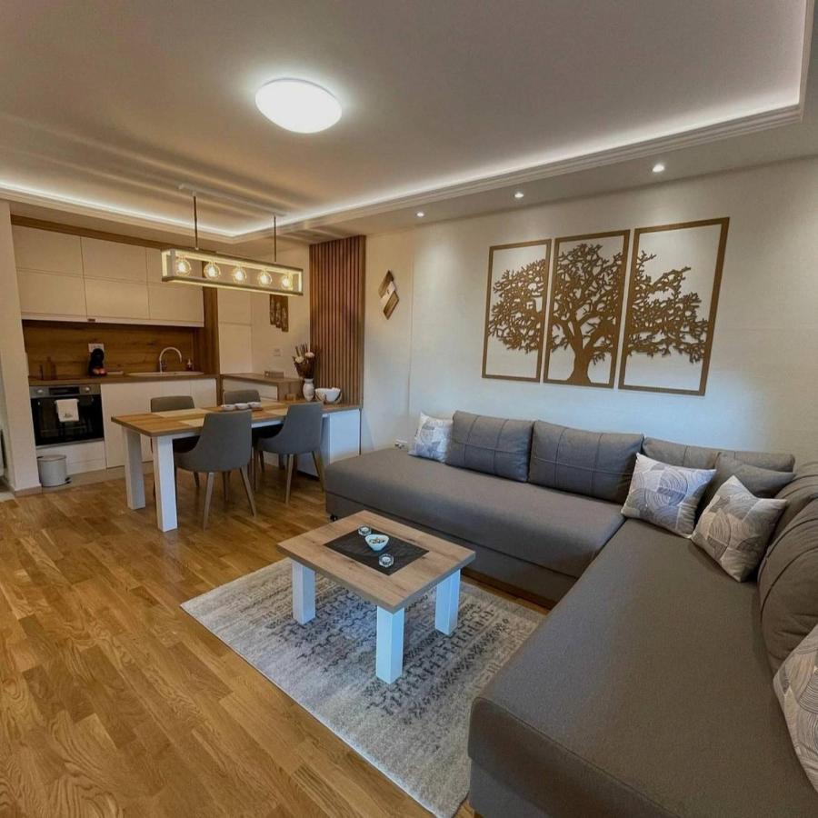 Apartman Stefanovic Vila Darija Lux ズラティボール エクステリア 写真
