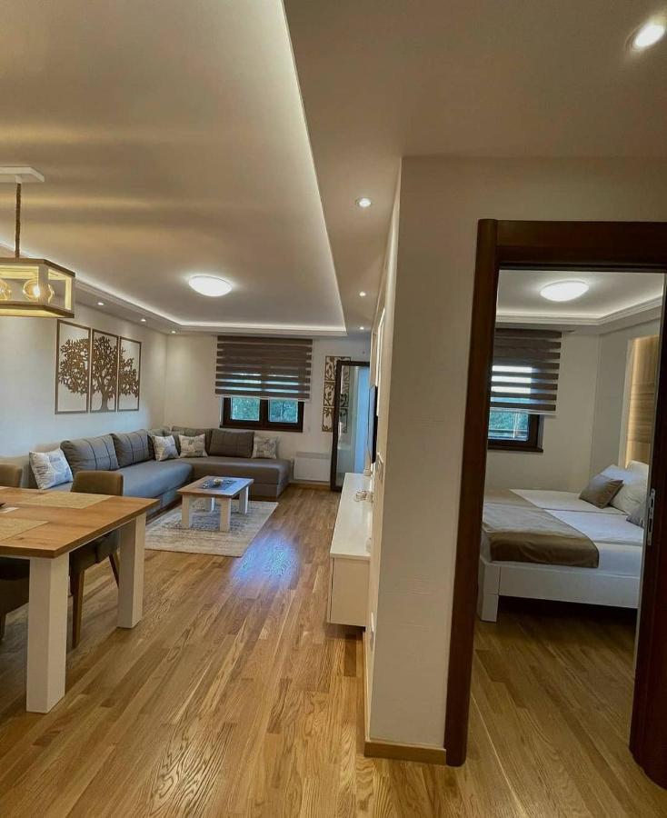 Apartman Stefanovic Vila Darija Lux ズラティボール エクステリア 写真
