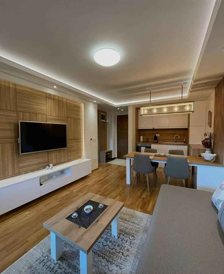 Apartman Stefanovic Vila Darija Lux ズラティボール エクステリア 写真