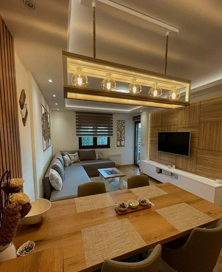 Apartman Stefanovic Vila Darija Lux ズラティボール エクステリア 写真