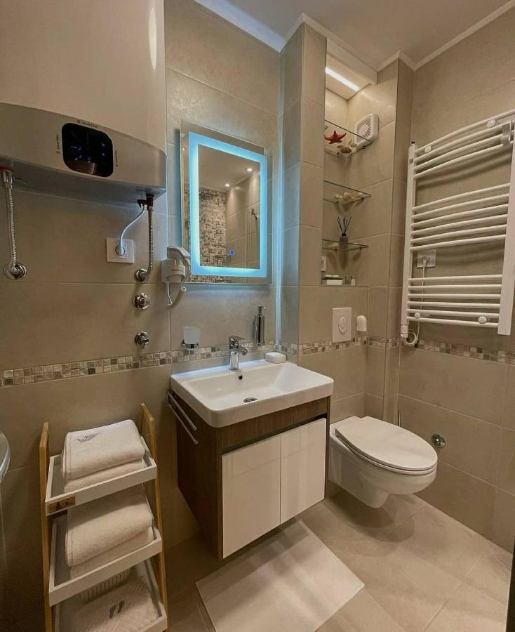 Apartman Stefanovic Vila Darija Lux ズラティボール エクステリア 写真