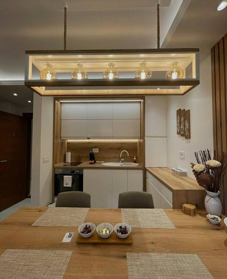 Apartman Stefanovic Vila Darija Lux ズラティボール エクステリア 写真
