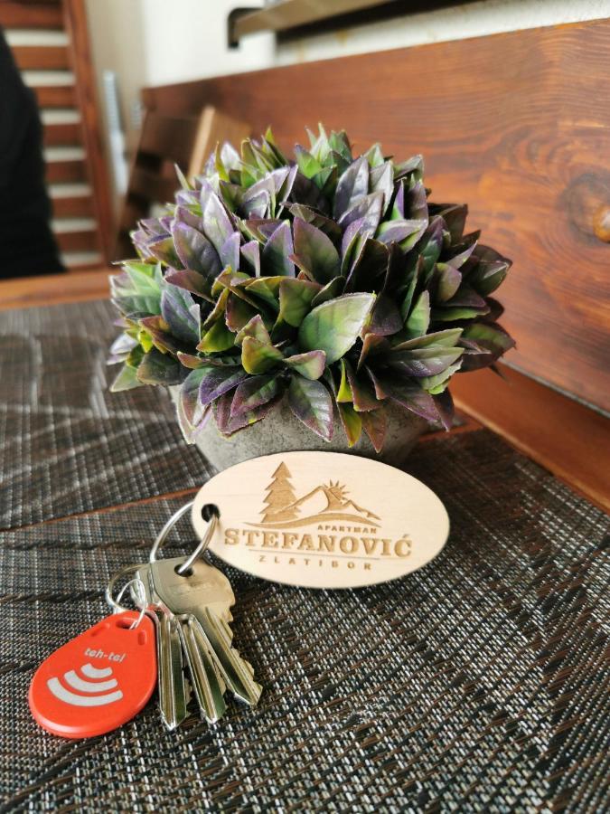 Apartman Stefanovic Vila Darija Lux ズラティボール エクステリア 写真