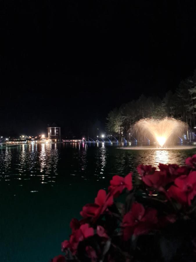 Apartman Stefanovic Vila Darija Lux ズラティボール エクステリア 写真