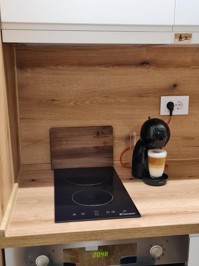 Apartman Stefanovic Vila Darija Lux ズラティボール エクステリア 写真