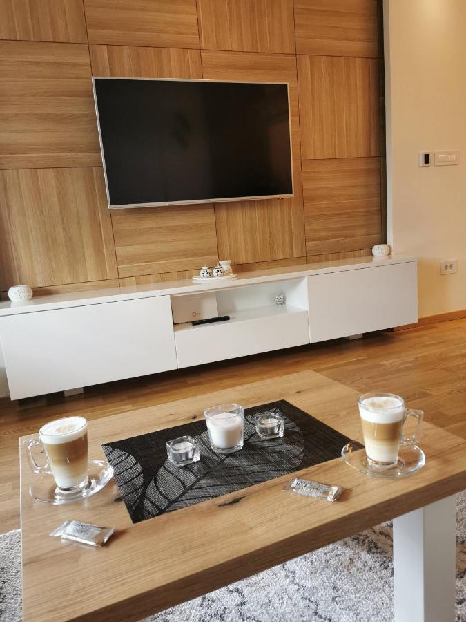 Apartman Stefanovic Vila Darija Lux ズラティボール エクステリア 写真