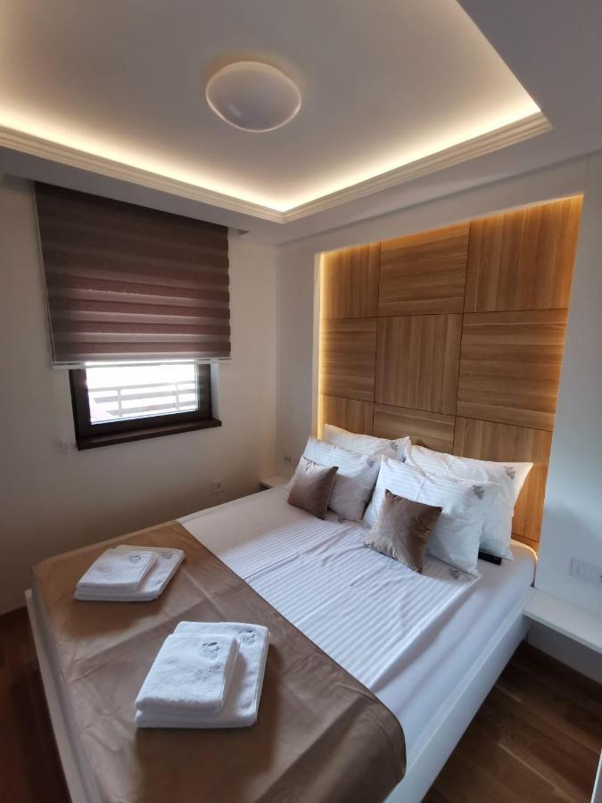 Apartman Stefanovic Vila Darija Lux ズラティボール エクステリア 写真