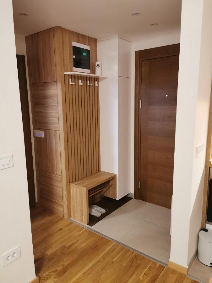 Apartman Stefanovic Vila Darija Lux ズラティボール エクステリア 写真