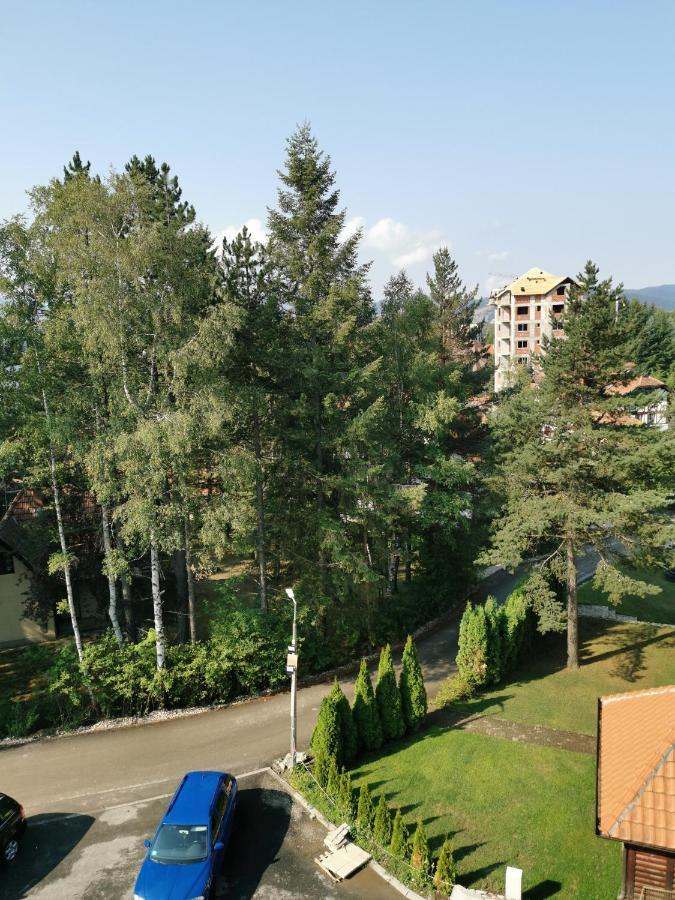 Apartman Stefanovic Vila Darija Lux ズラティボール エクステリア 写真