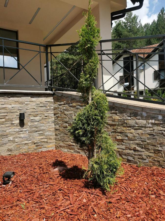 Apartman Stefanovic Vila Darija Lux ズラティボール エクステリア 写真