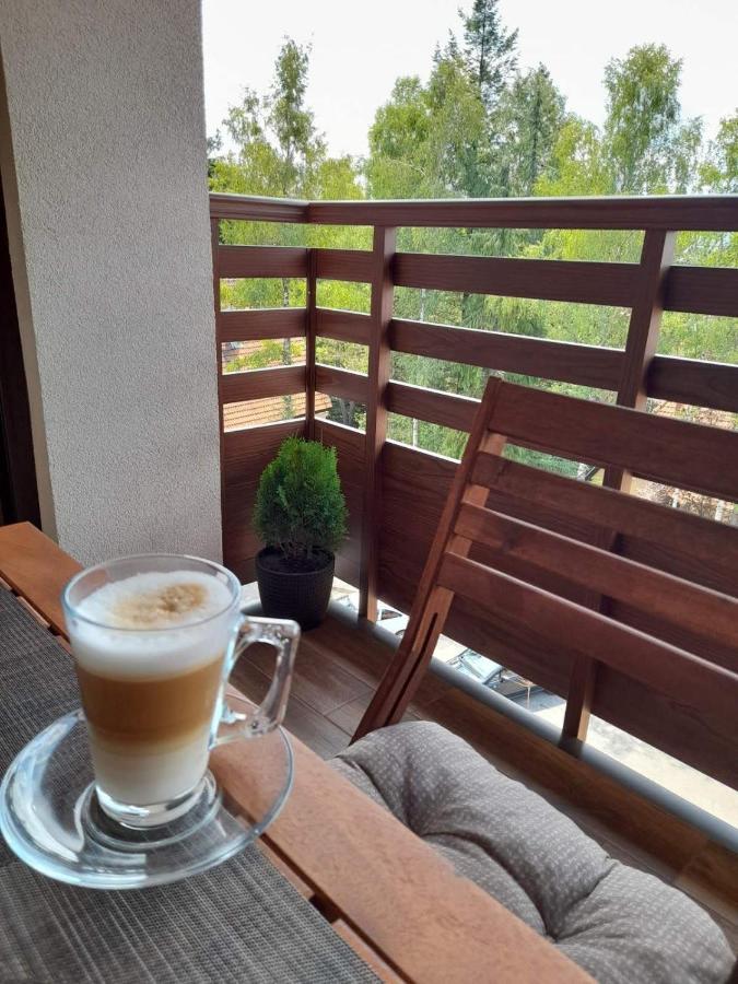 Apartman Stefanovic Vila Darija Lux ズラティボール エクステリア 写真