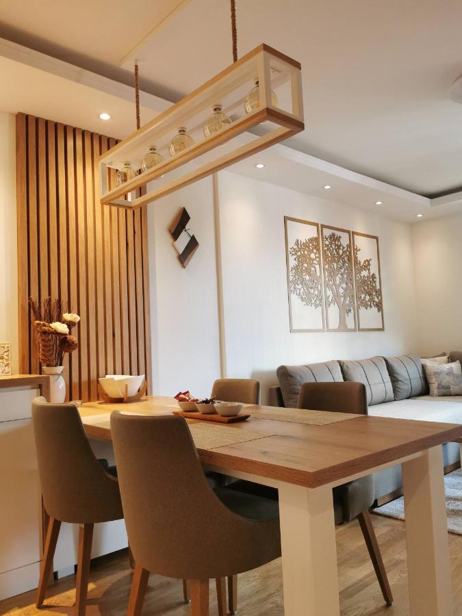 Apartman Stefanovic Vila Darija Lux ズラティボール エクステリア 写真