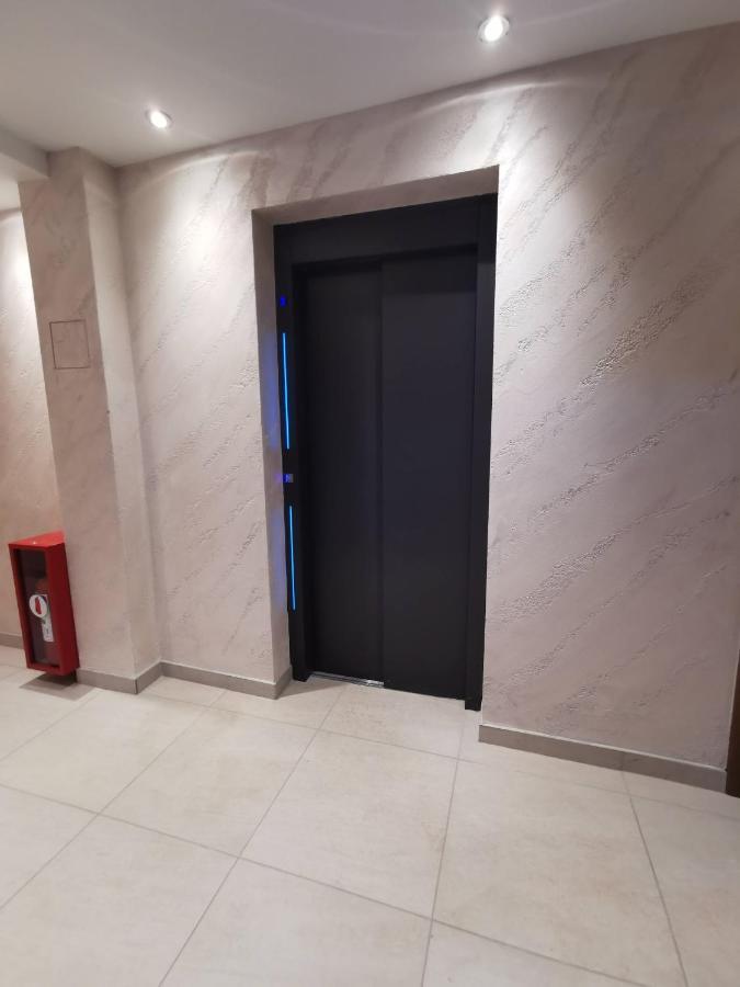 Apartman Stefanovic Vila Darija Lux ズラティボール エクステリア 写真