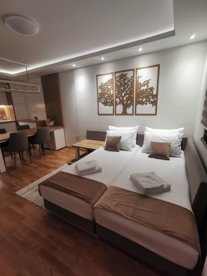 Apartman Stefanovic Vila Darija Lux ズラティボール エクステリア 写真