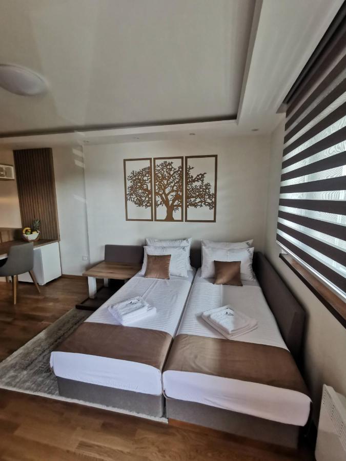 Apartman Stefanovic Vila Darija Lux ズラティボール エクステリア 写真