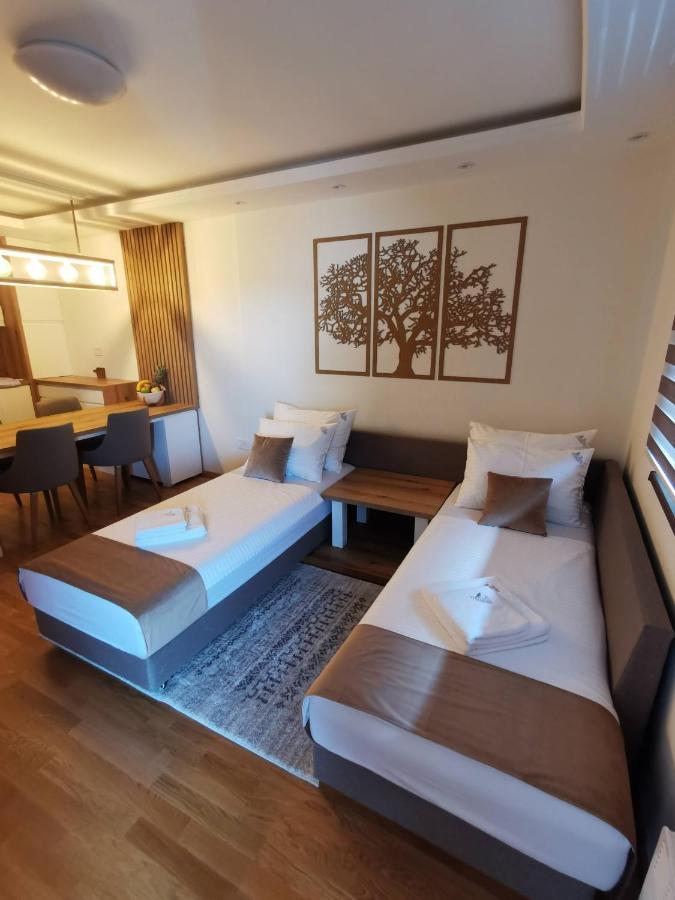 Apartman Stefanovic Vila Darija Lux ズラティボール エクステリア 写真