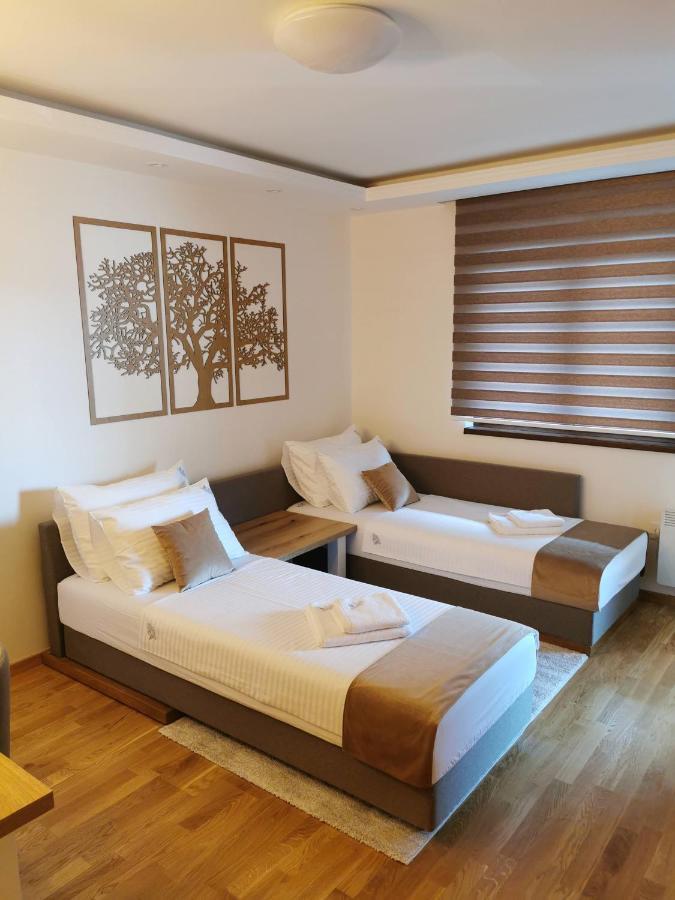 Apartman Stefanovic Vila Darija Lux ズラティボール エクステリア 写真